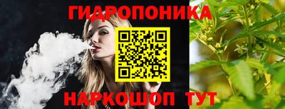 spice Партизанск