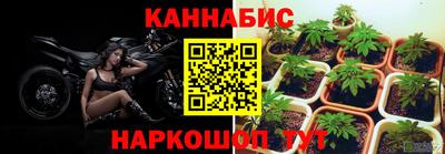 дмт Пенза