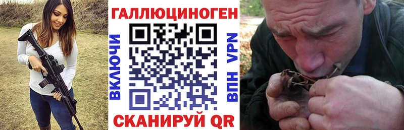 Псилоцибиновые грибы MAGIC MUSHROOMS  Чернушка 