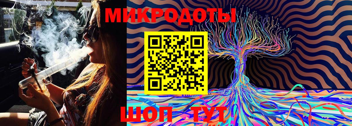 Галлюциногенные грибы Psilocybine cubensis Чернушка