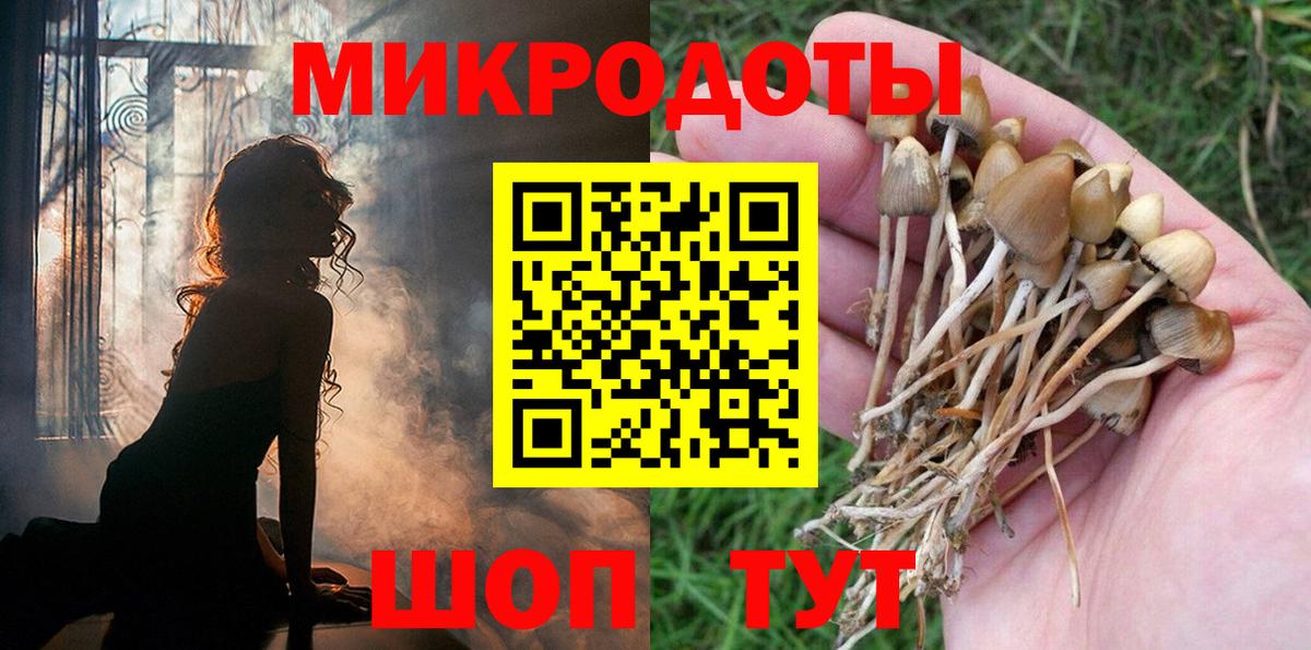 Чернушка  Псилоцибиновые грибы ЛСД  Вход с VPN 